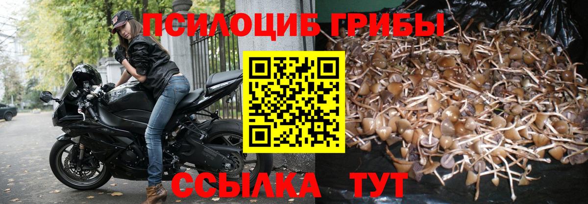Псилоцибиновые грибы Magic Shrooms  Вход с VPN  Бердск 