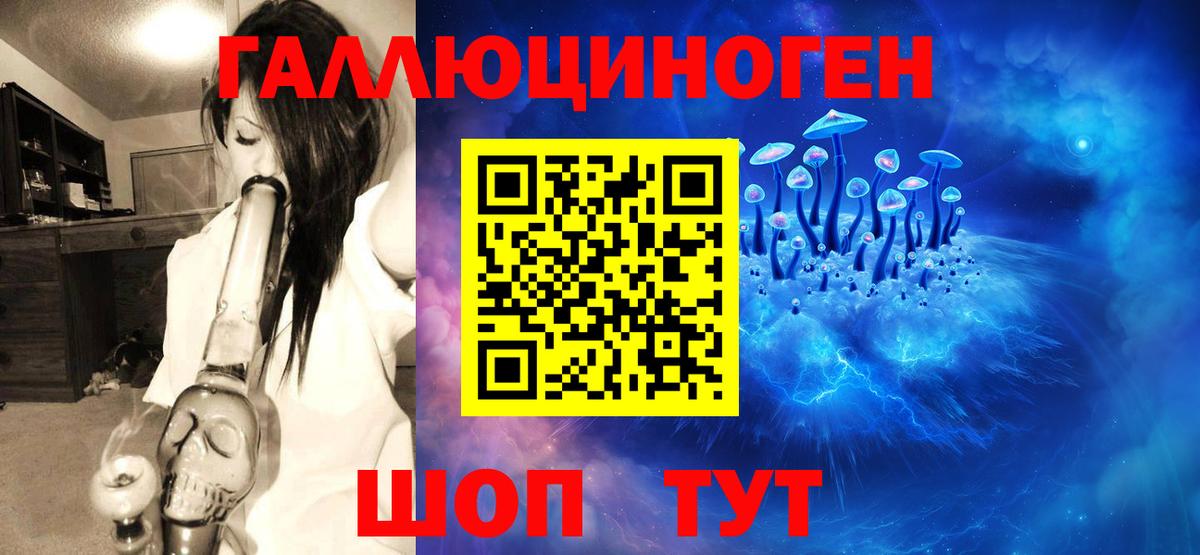 Галлюциногенные грибы Magic Shrooms Бердск